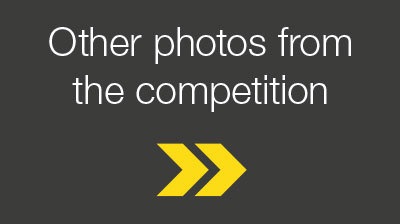 Contest entries